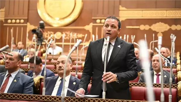 برلماني: ذكرى الثالث من يوليو أحد أهم المحطات الوطنية في تاريخ مصر الحديث