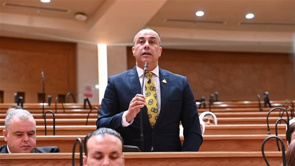 النائب محمد بلتاجي: الأوكتاجون يحصن البنية التحتية للاقتصاد المصري ضد التهديدات السيبرانية