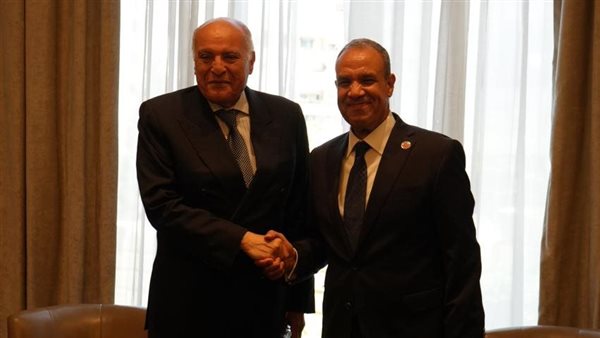 وزيرا خارجية مصر والجزائر يؤكدان أهمية استمرار التنسيق والتشارو حول ليبيا والقضية الفلسطينية