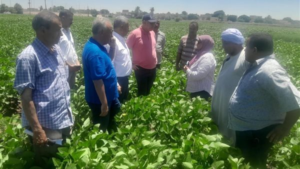 رئيس قطاع الخدمات يتابع الزراعات ومنظومة الري الحديث بالمنيا 