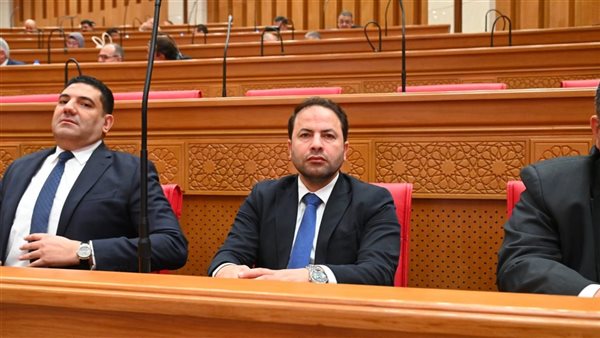 خطوة استراتيجية.. نائب يشيد بمشروع قانون جهاز مستقبل مصر