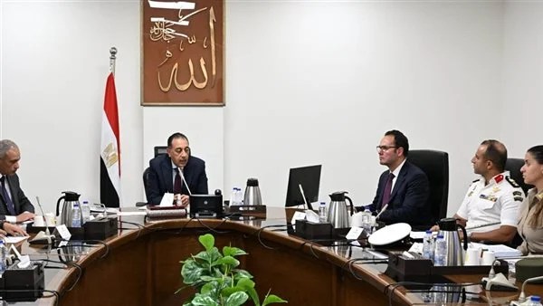شلاتر ومصل وحلول علمية.. الحكومة تضع خطة وطنية للحد من مخاطر الكلاب الضالة