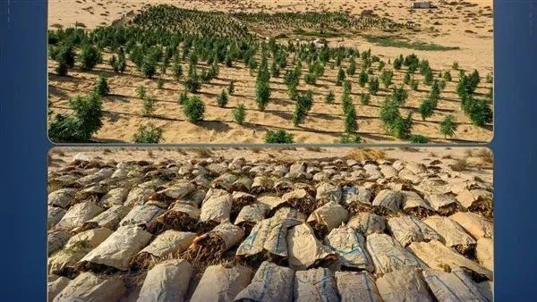 المال الحرام.. ضبط مواد مخدرة في الإسماعلية بـ1.4 مليار جنيه