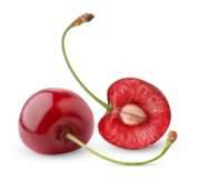 Swallow Cherry Seed