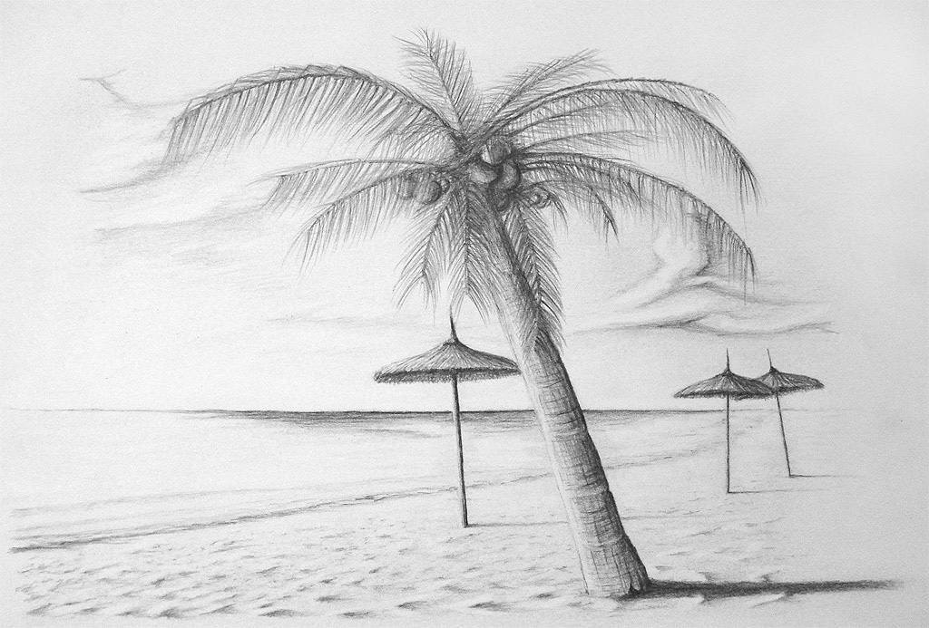Dibujos de playas para imprimir. 25 high quality dibujos de rosas a lapiz in different resolutions. Beach Drawing, Pencil, Sketch, Colorful, Realistic Art