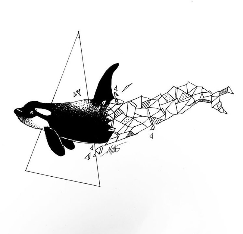Free color by number worksheets. Dolphin Drawing Drawing Skill