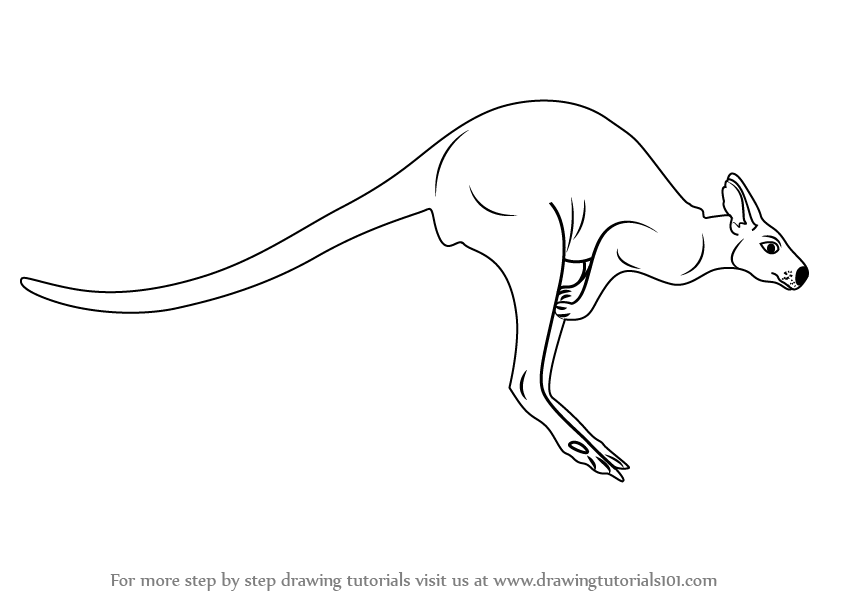It looks like you're using an adblocker. Step By Step How To Draw A Kangaroo Drawingtutorials101 Com
