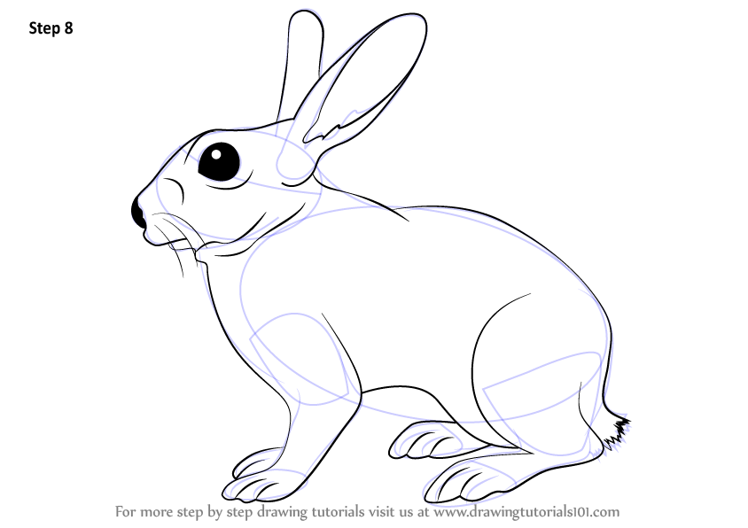 If you are not sure, please test the fur drawing (pencil strokes) on a separate . Learn How To Draw A Rabbit Farm Animals Step By Step Drawing Tutorials