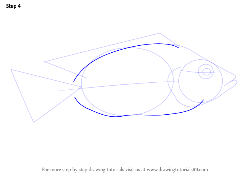 Cell structure and functions / animal cell vs plant cell / parts of cell / ch 8 science class 8 cbse . Learn How To Draw A Tilapia Fishes Step By Step Drawing Tutorials