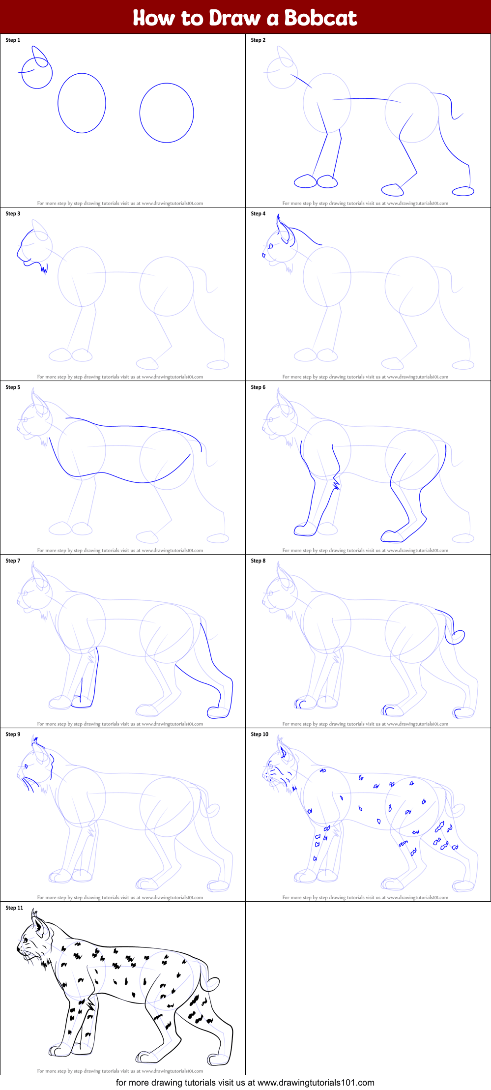 This is another realistic outline drawing of the wild. How to Draw a Bobcat printable step by step drawing sheet : DrawingTutorials101.com