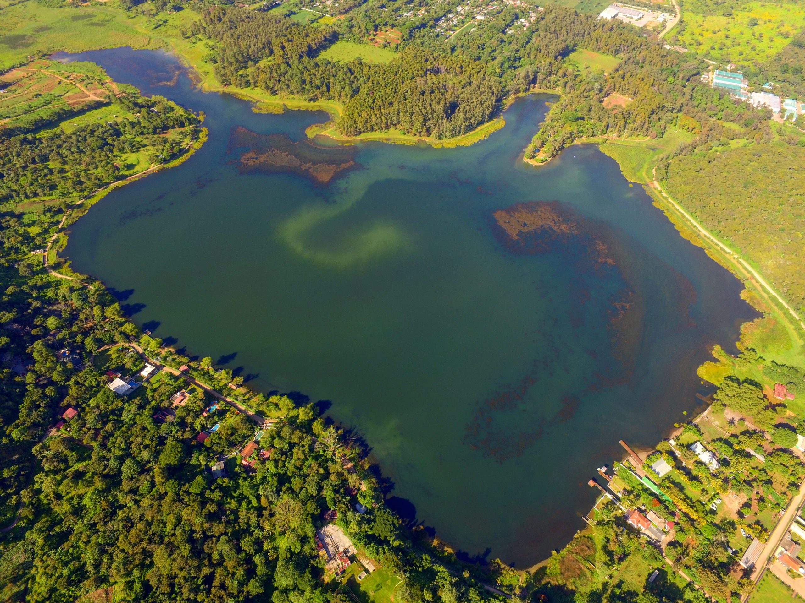 Alicia parks photography is a santa rosa wedding photographer based in northern california. Laguna de Pino, Santa Rosa, Guatemala
