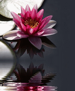 Ditelo Con I Fiori