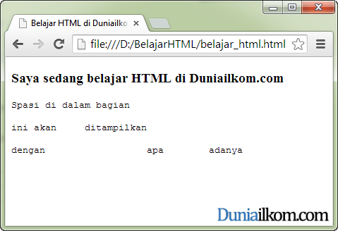 Cara Membuat Text HTML Tanpa Format (tag pre dan tag code) | Duniailkom