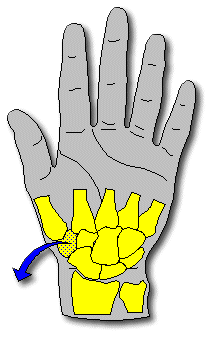 Here's what you can expect from joint replacement surgery. Arthritis of the Thumb Basal Joint