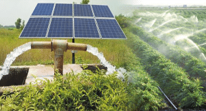 Drip Irrigation System Subsidy In Haryana