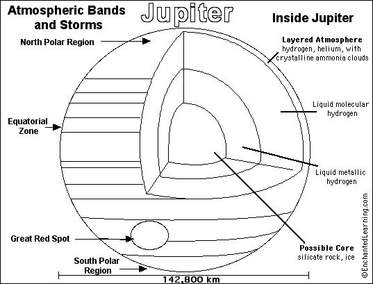 Pigs, hippos & relatives ; Jupiter Printout Coloring Page Enchantedlearning Com