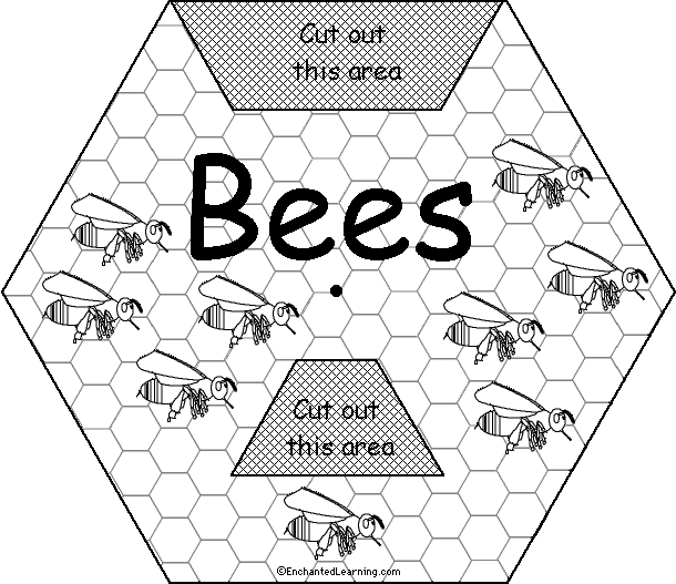 Entries without original photos and text will be denied. Bee Wheel Printable Worksheet Enchantedlearning Com