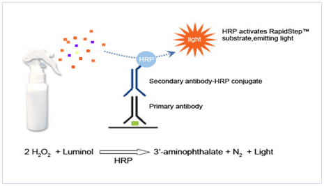 blot)是分子生物学,生物化学和免疫遗传学中常用的一种实验方法,被