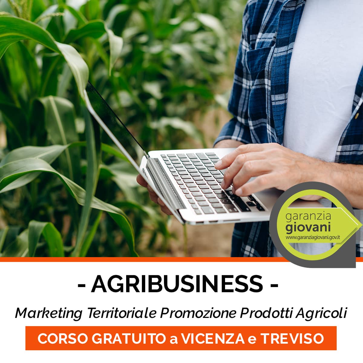 Agribusiness - Marketing Territoriale - Corso Gratuito Per Disoccupati Under 30 - Equasoft Srl 1200_x_1200_jpg