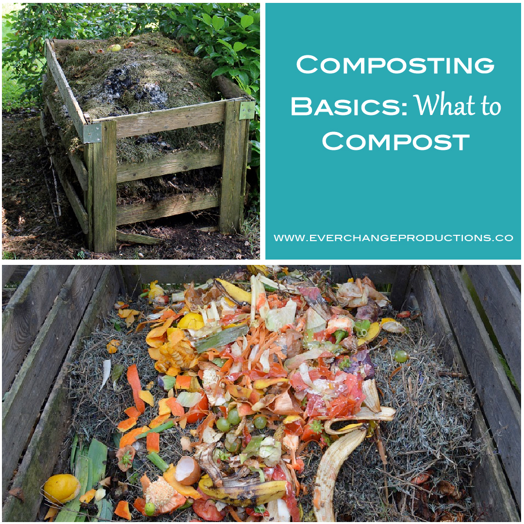 Composting Basics What to Compost