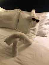 Disney Fantasy Cruise Staterooms - The Ultimate Guide - EverythingMouse