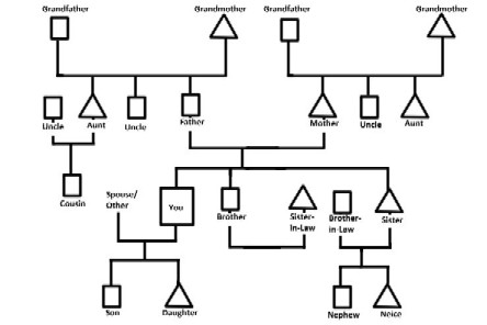3 generation genogram template - molimystery