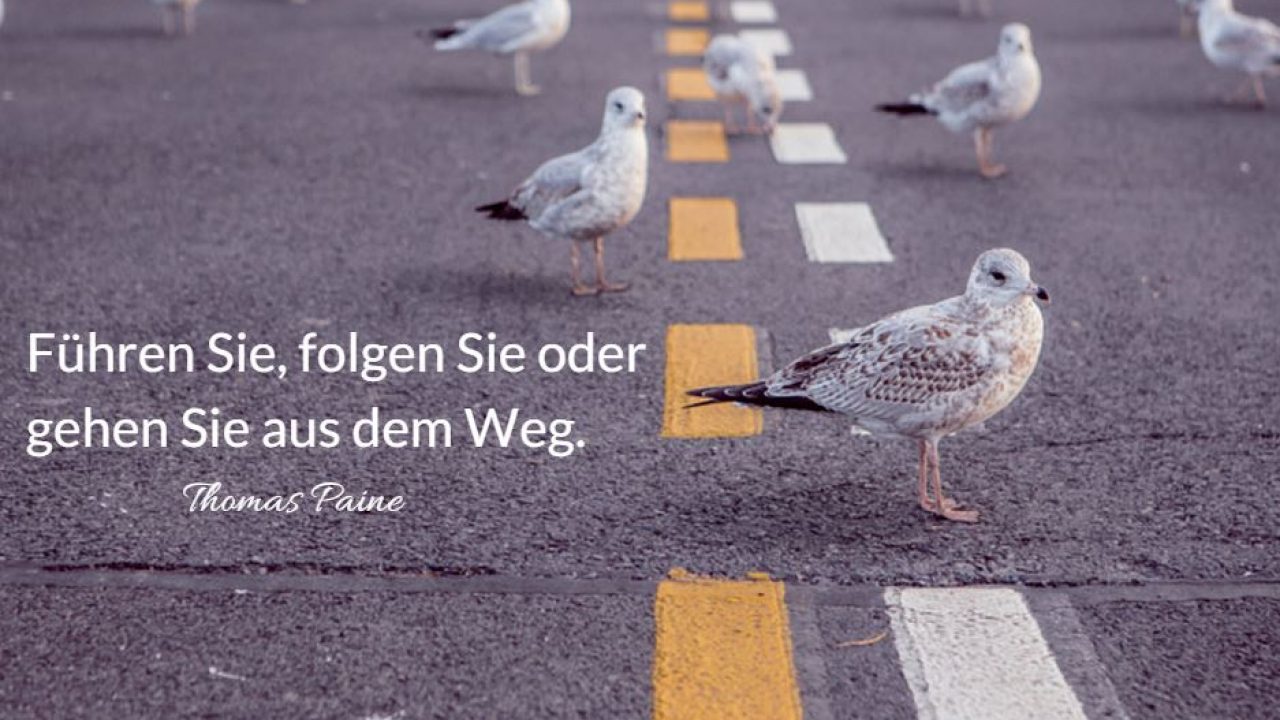Warum Sie Der Perfekte Teamleiter Sind Experteer Magazin