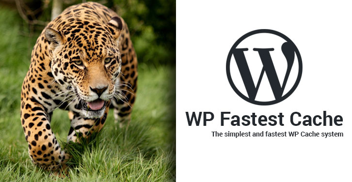 Wp fastest cache settings are very simple, . The Ultimate Guide On How To Use Wp Fastest Cache Plugin