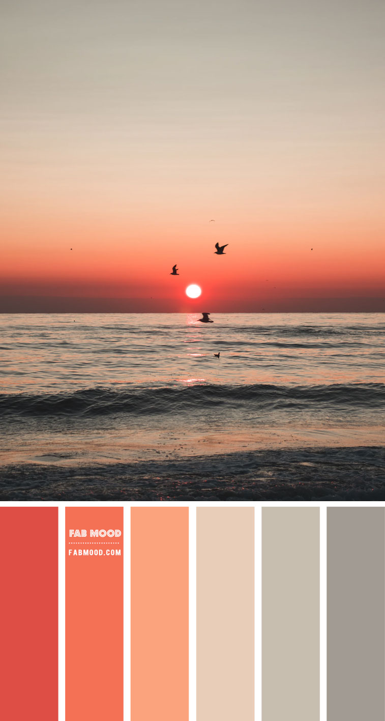 Primary, secondary, and tertiary colors. Coral And Sage Colour Scheme Fab Mood Colour Palette