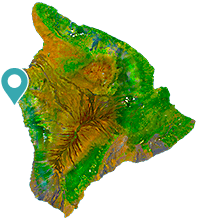 Bring a gopro or a waterproof camera with a strap. Book Snorkel Tours To Kealakekua Fair Wind Cruises