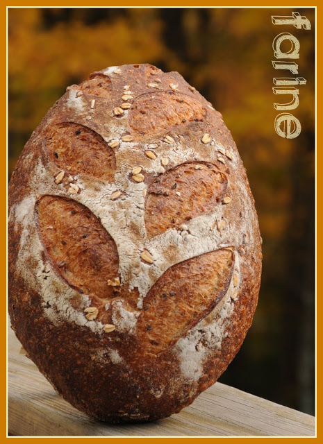 Noah's Bread