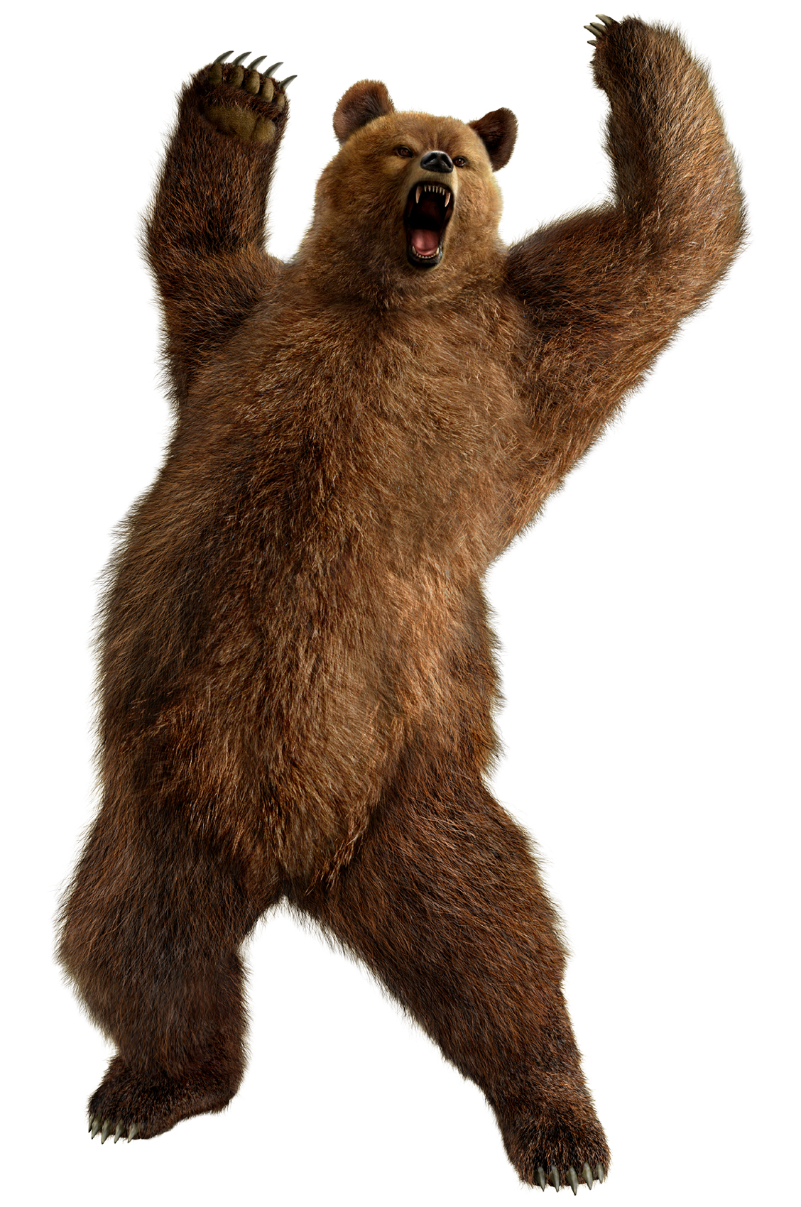 Download wait lover stock photos. Kuma (Tekken)