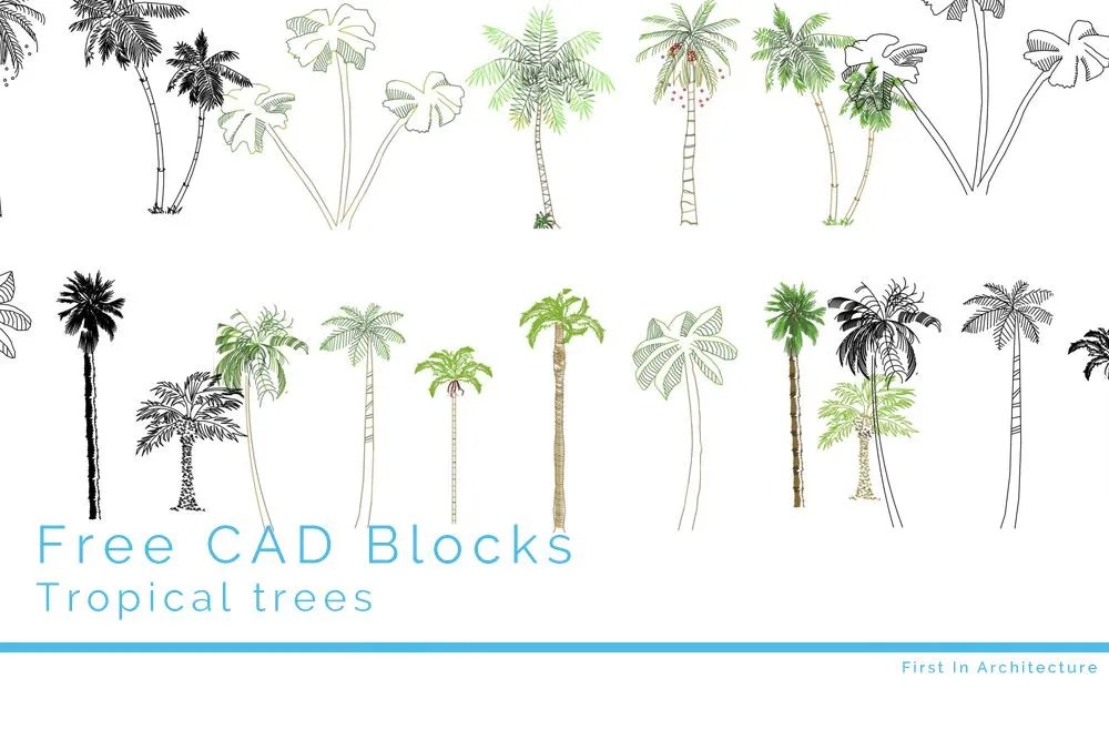 Free CAD Blocks Tropical Trees