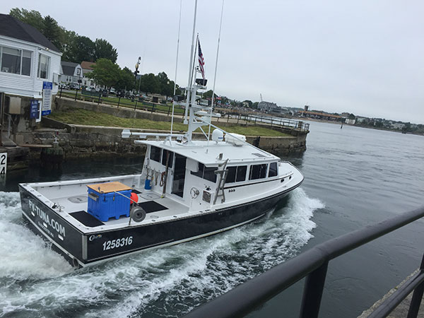 You can see the prices on their website by clicking here. Fishing Pictures From The Tuna Com