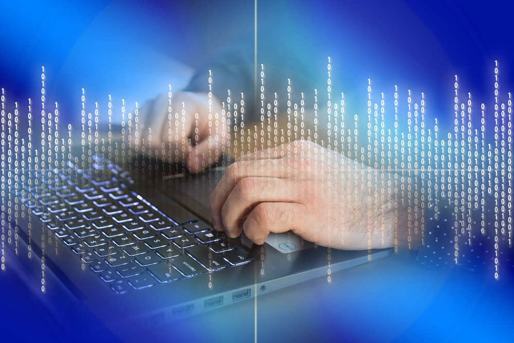 Corso Web Developer | Flash Giovani Bologna 667_x_1000_jpg