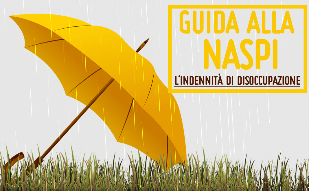 Guida Alla Naspi – Indennità Di Disoccupazione – Flc Cgil Roma E Lazio 660_x_1068_png