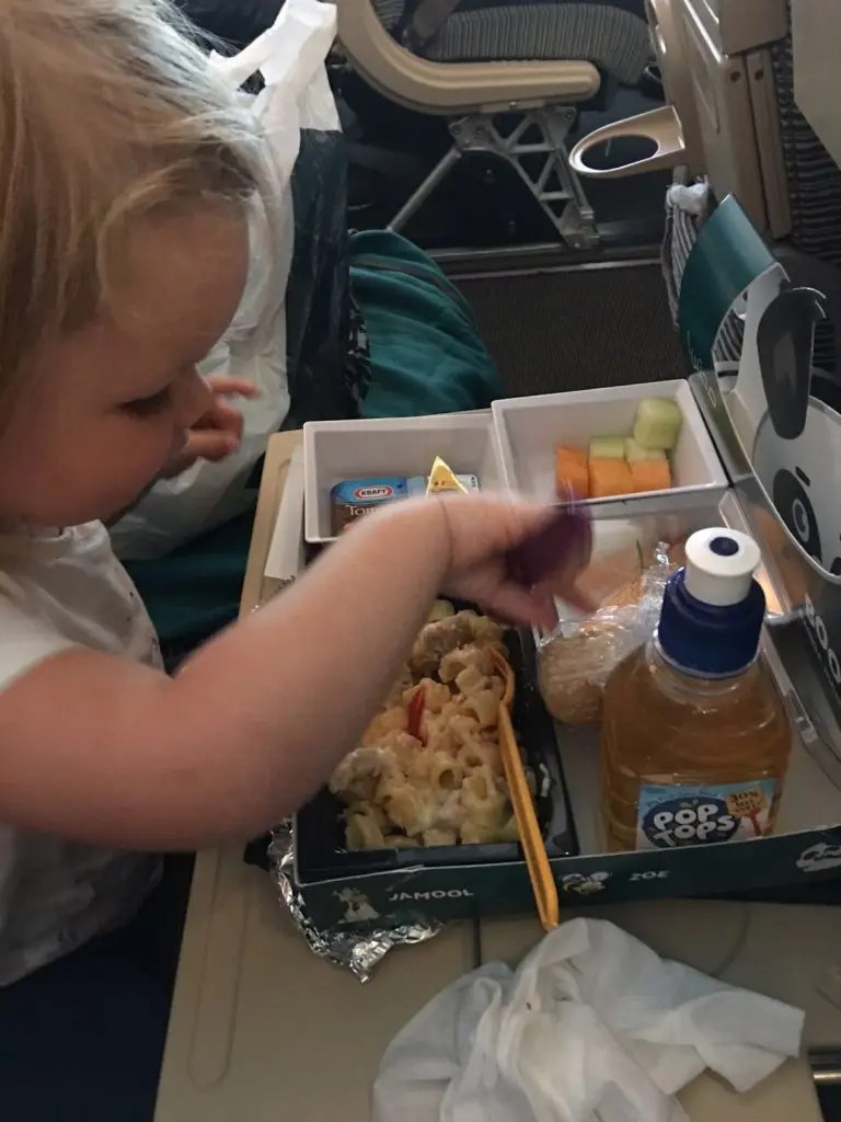 Airline Meals Ordering Baby And Child Airline Meals