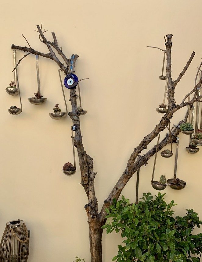 evil-eye-tree