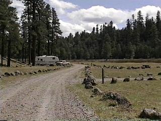 Saddlehorn campground is located near the saddlehorn visitor center, four miles from the west entrance (near fruita . Campground Directory and National Forest Campgrounds