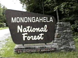 Monongahela national forest dispersed campsites, campgrounds,. Monongahela National Forest Campgrounds