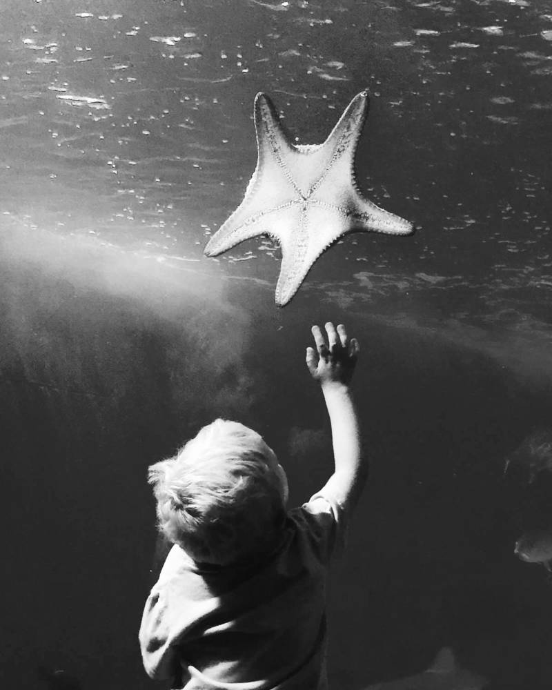 If you're viewing a dark maui. Maui Ocean Center Maui S Only Aquarium Next To Four Winds Maui