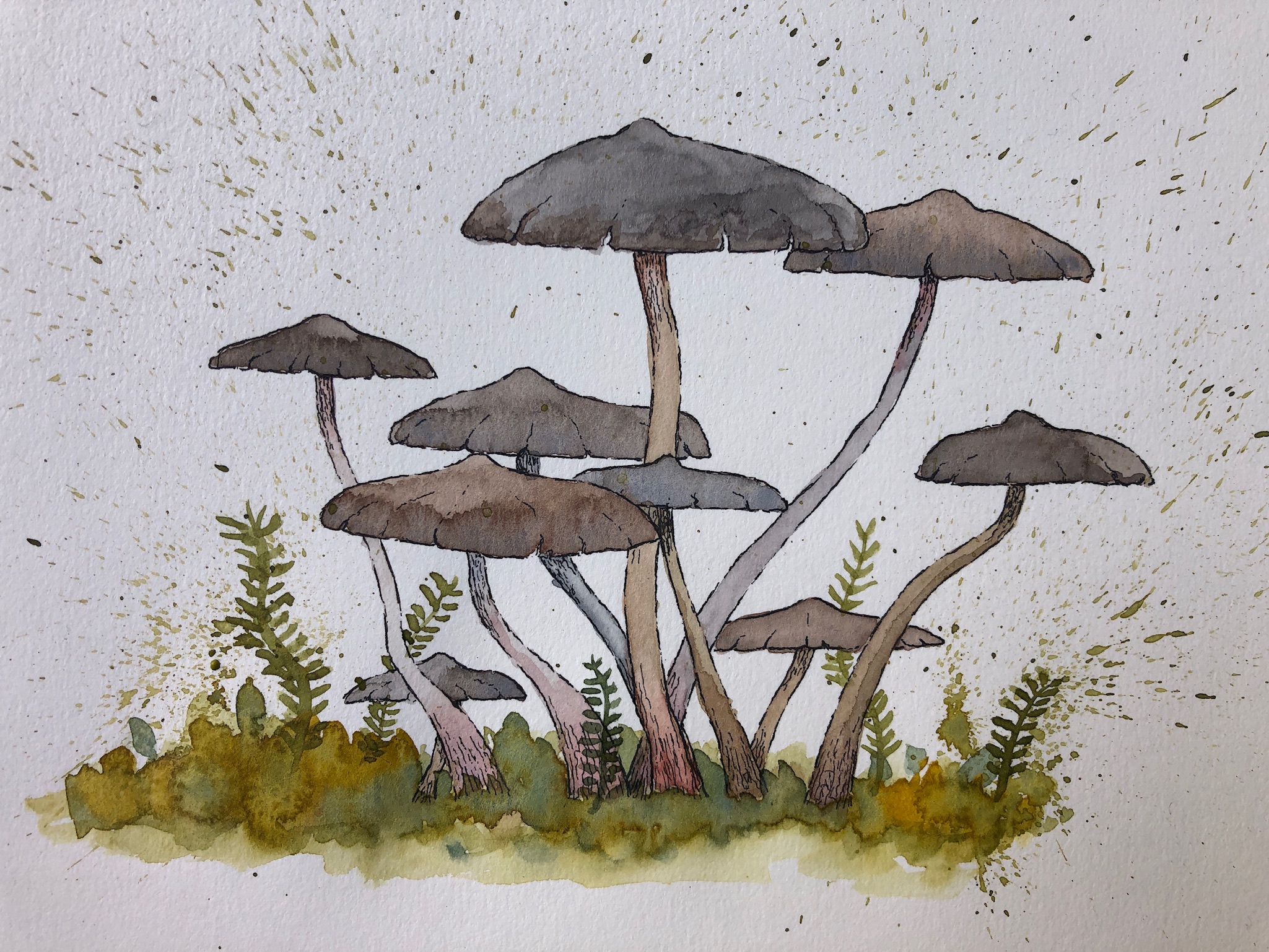 Mushrooms 3