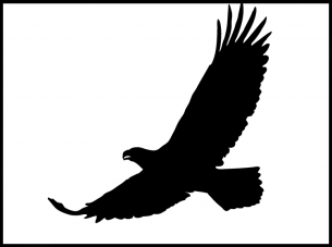 eagle stencils