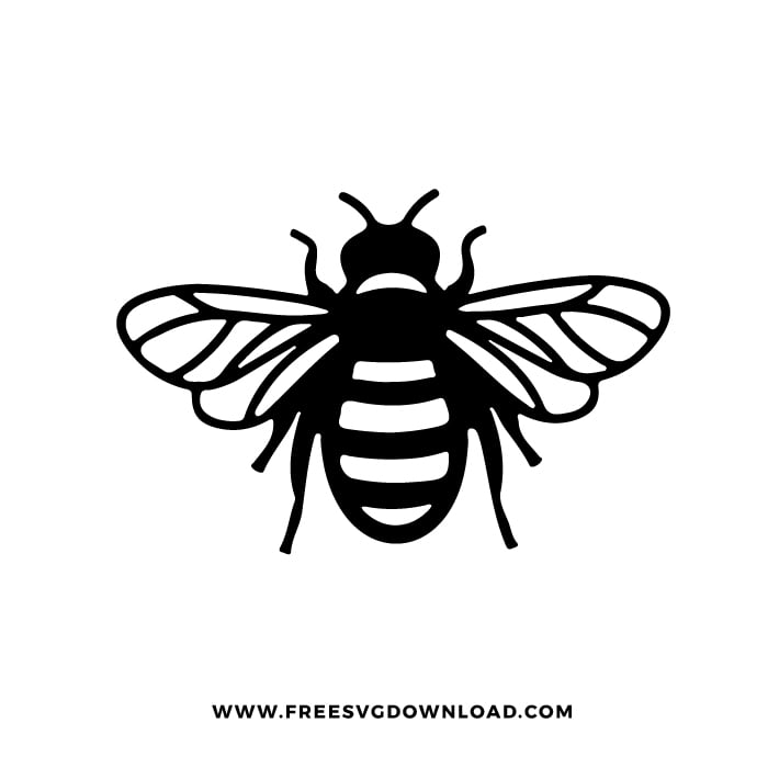 Cute Honey Bee Svg