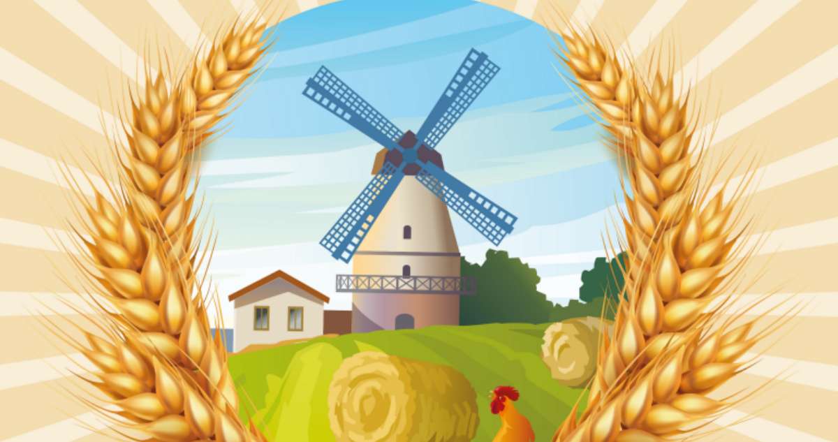 Foire Agricole De La Saint Michel 25 09 2021 Gardanne Frequence Sud Fr