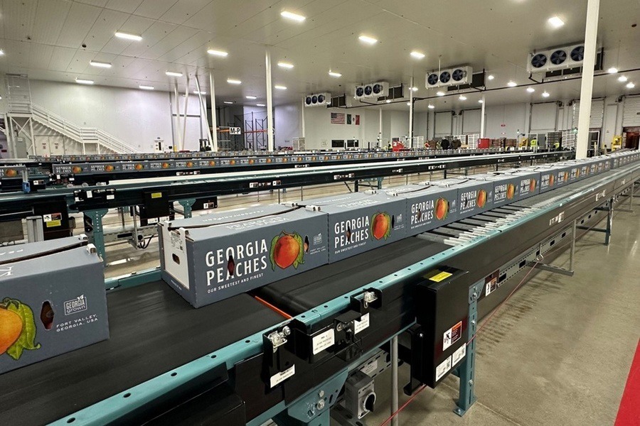 Georgia peaches reach Mexico after 27-year gap