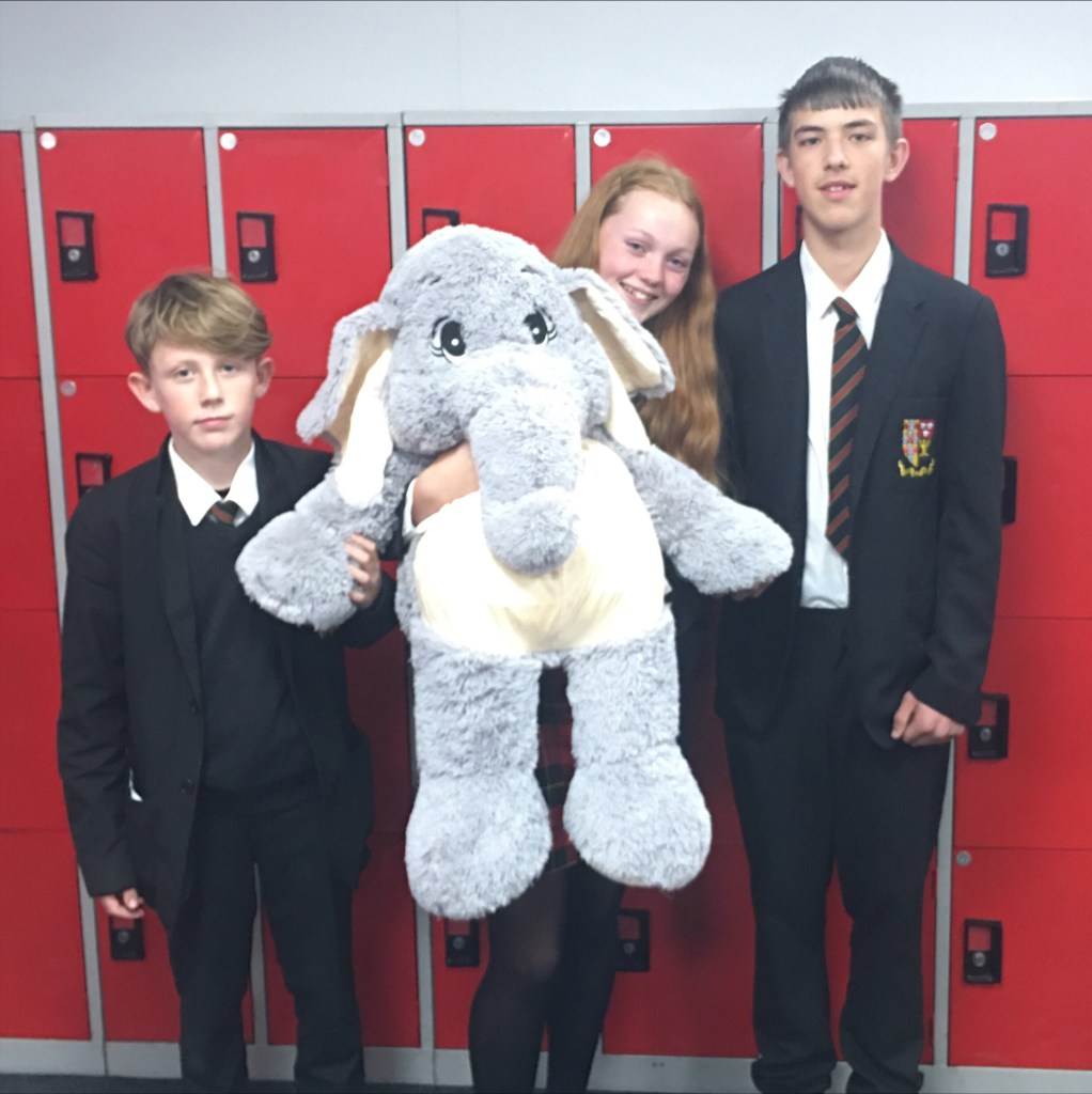 The Elephant in the Room The Friary School