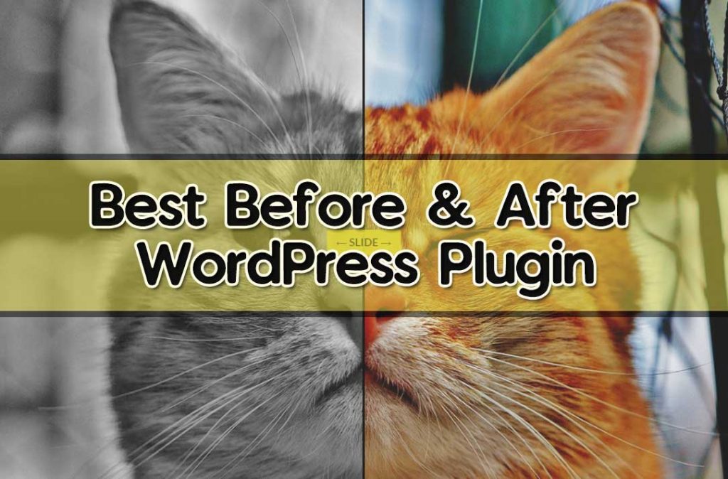 The simple plugin that allows you to display image slides with . 10 Best Before And After WordPress Plugin 2019 (Free & Premium) | Frip.in