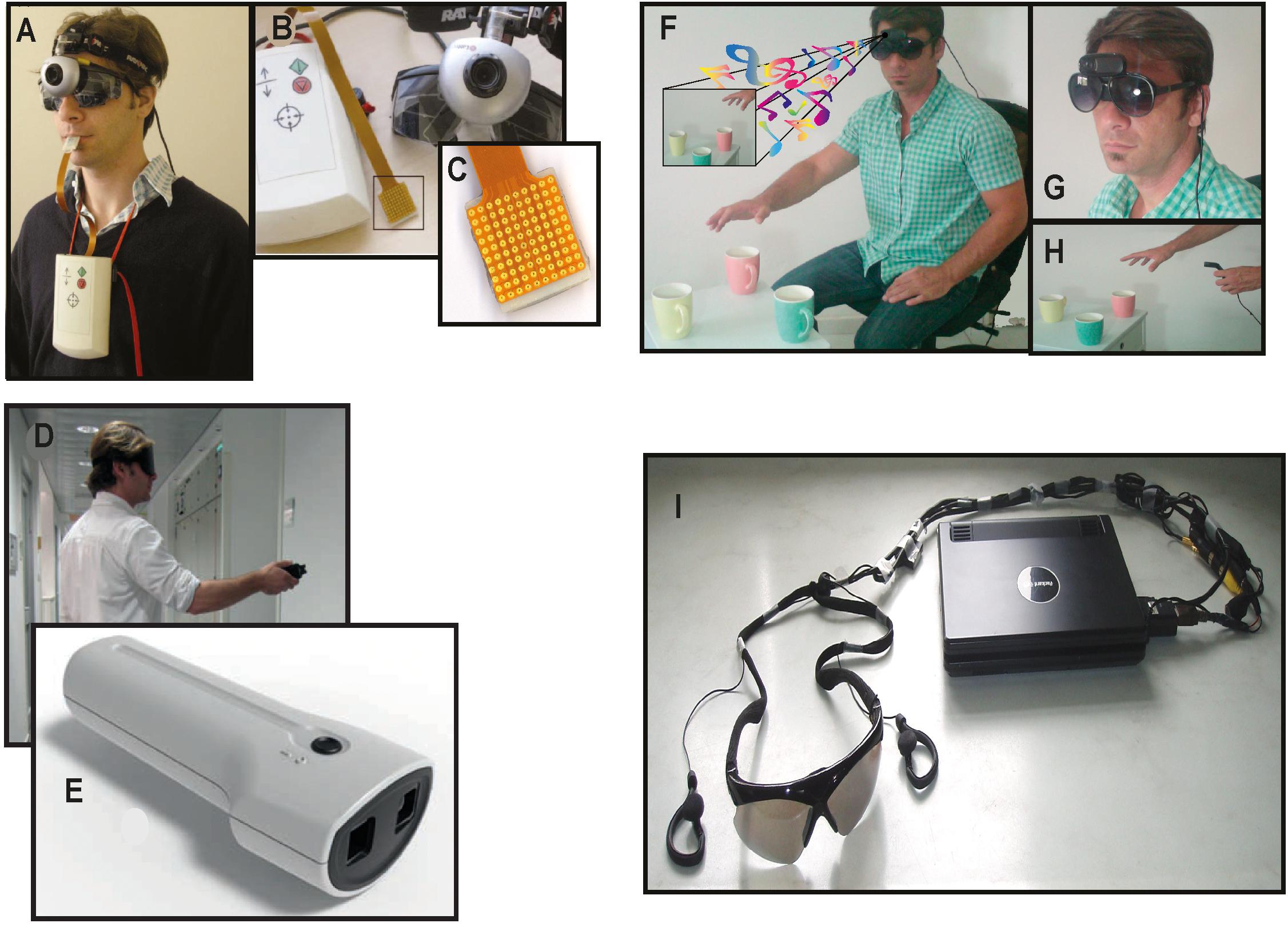 Schaue dir beliebte inhalte von folgenden erstellern an: Frontiers Spatial Competence And Brain Plasticity In Congenital Blindness Via Sensory Substitution Devices
