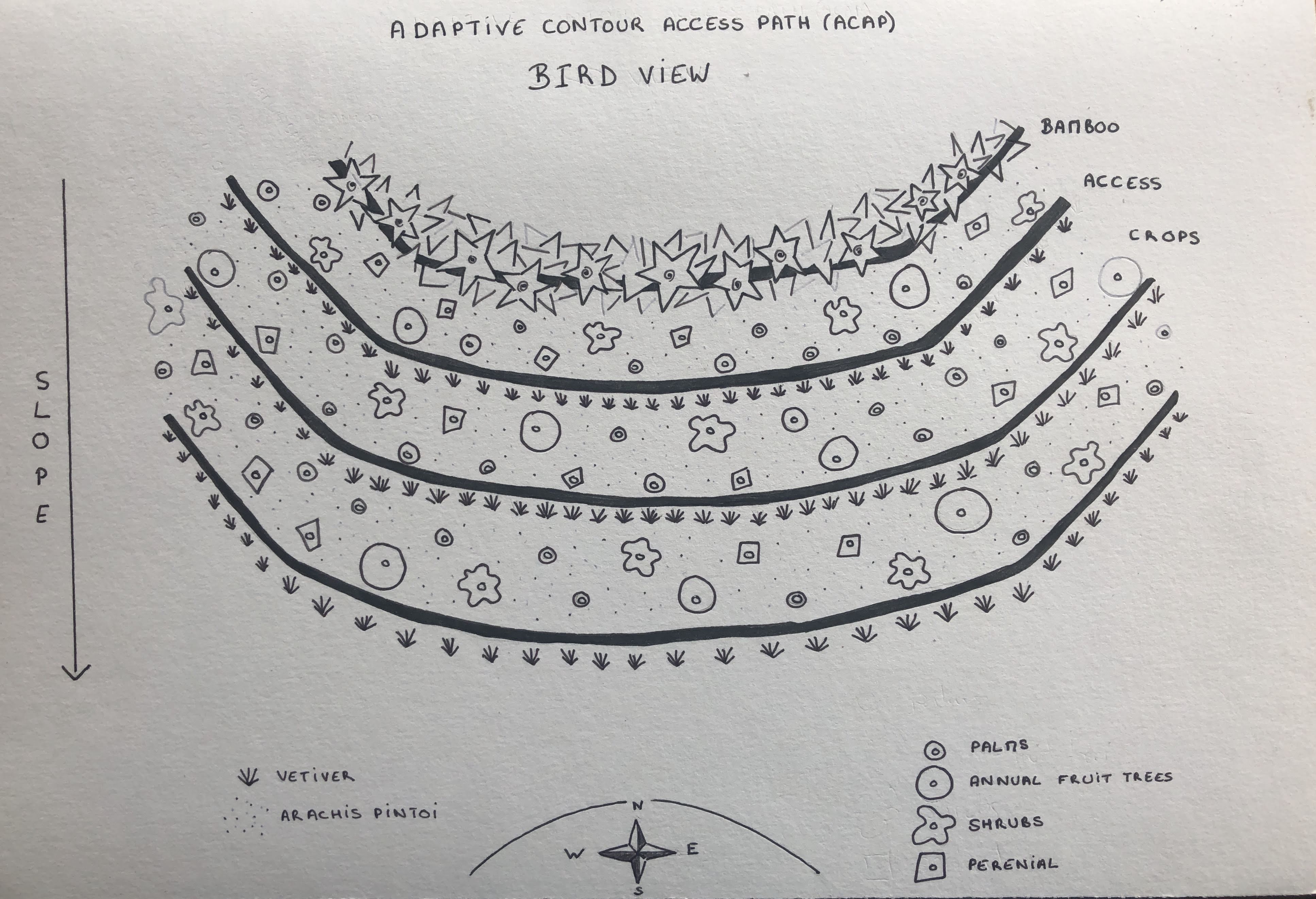 Adaptive Contour Access Path (ACAP), Finca Yantza BirdView